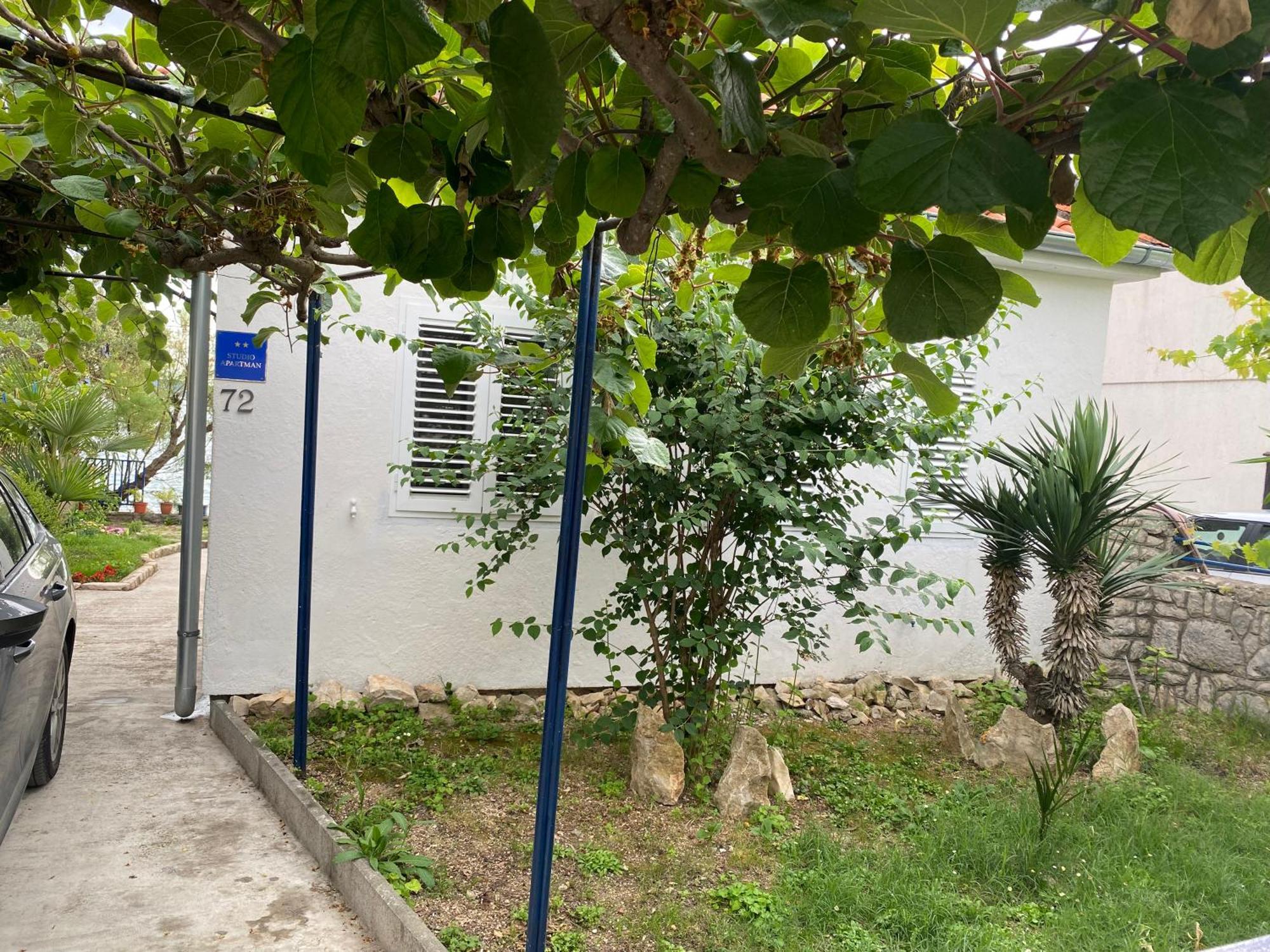 فيلا Sea House بيبينيا المظهر الخارجي الصورة